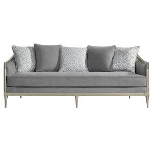 Fernando - Sofa With 5 Pillows - Gray Chenille & Champagne