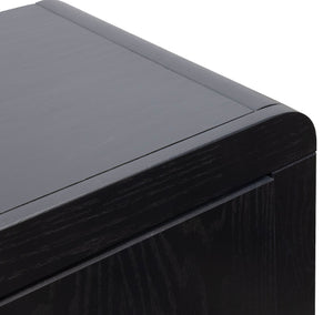 Eclipse - Fireplace TV Stand