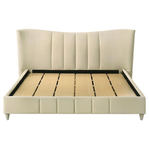 Evelyn - Upholstered Panel Platform Bed