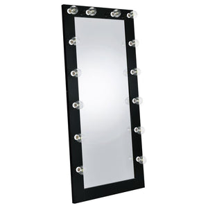 Zayan - Length Floor Mirror With Lighting Black