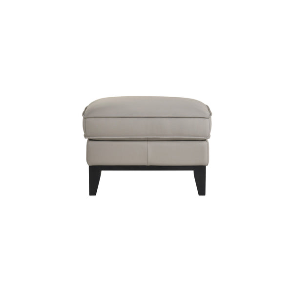 Aaron - Leather Ottoman - Mist Gray
