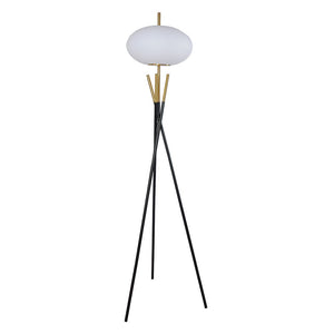 Floor Lamp - Black / Gold
