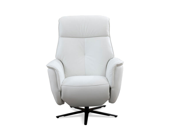 Tripp - Power Swivel Recliner
