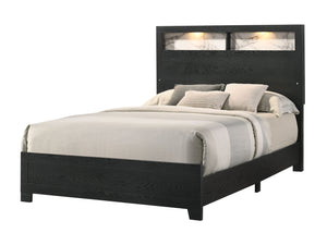 Cadence - Queen Bed In One Box With Shelves - Black