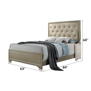 Carine - Queen Bed - Synthetic Leather & Champagne