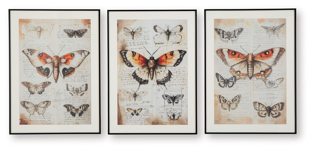 Jossletts - Wall Art Set (Set of 3) - Orange / Black / Ivory